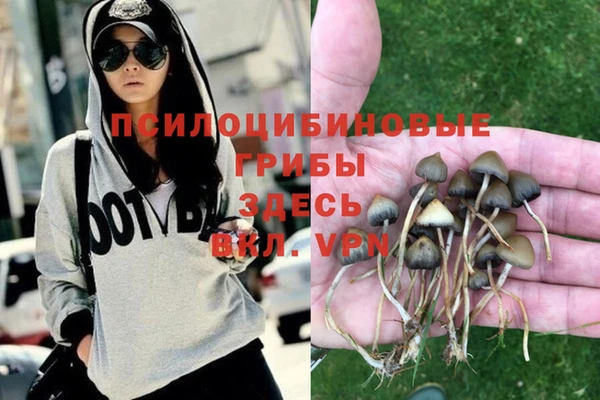 альфа пвп Белокуриха