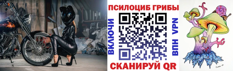 где найти   Яблоновский  omg как войти  Галлюциногенные грибы мухоморы 